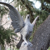 Àguila