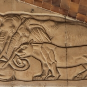 Elefant