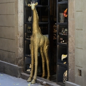 Girafa